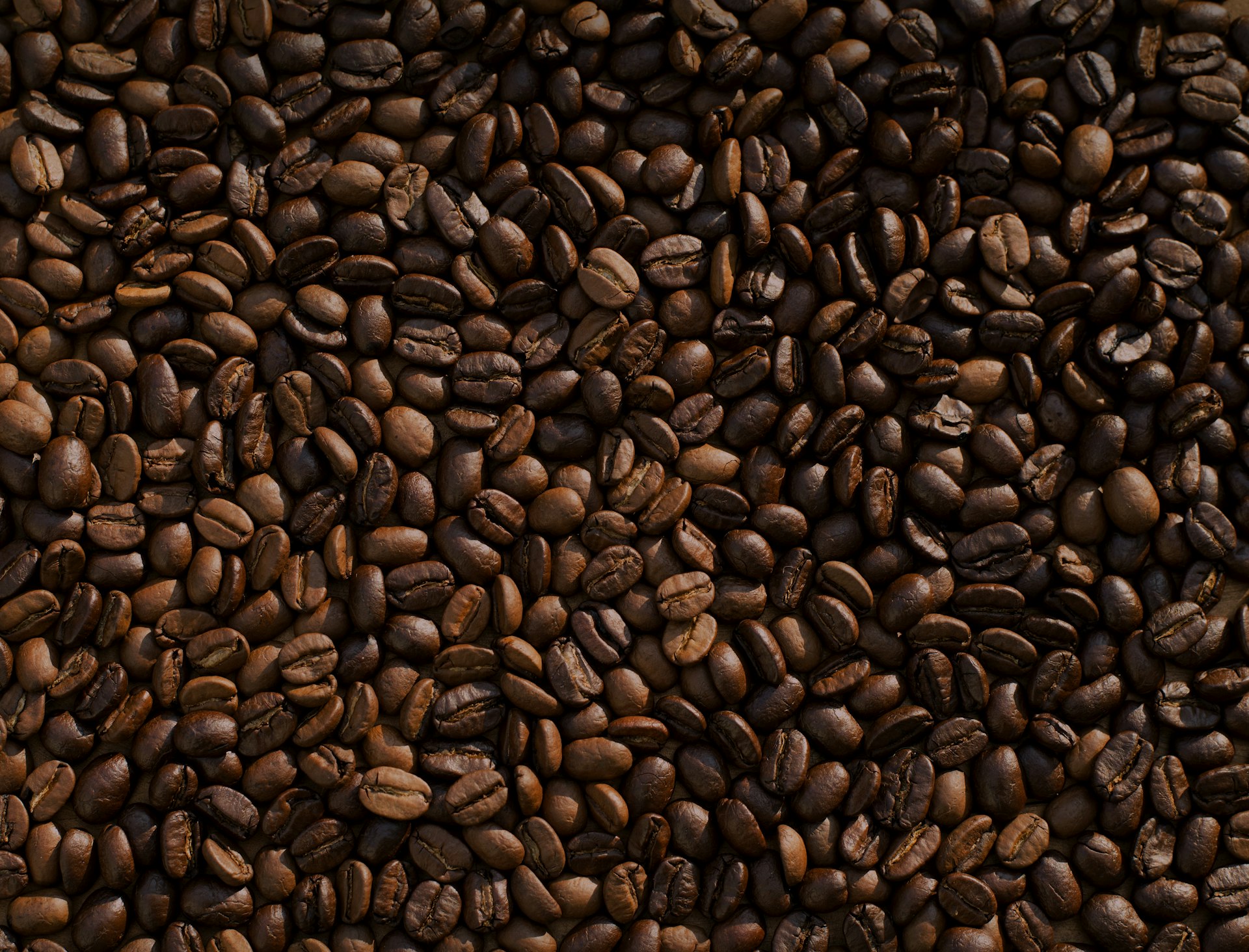Friskristede kaffebønner